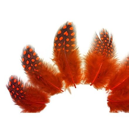 1/8 lb. Orange Polka Dot Guinea Fowl Wing Quills Wholesale Feathers (Bulk)