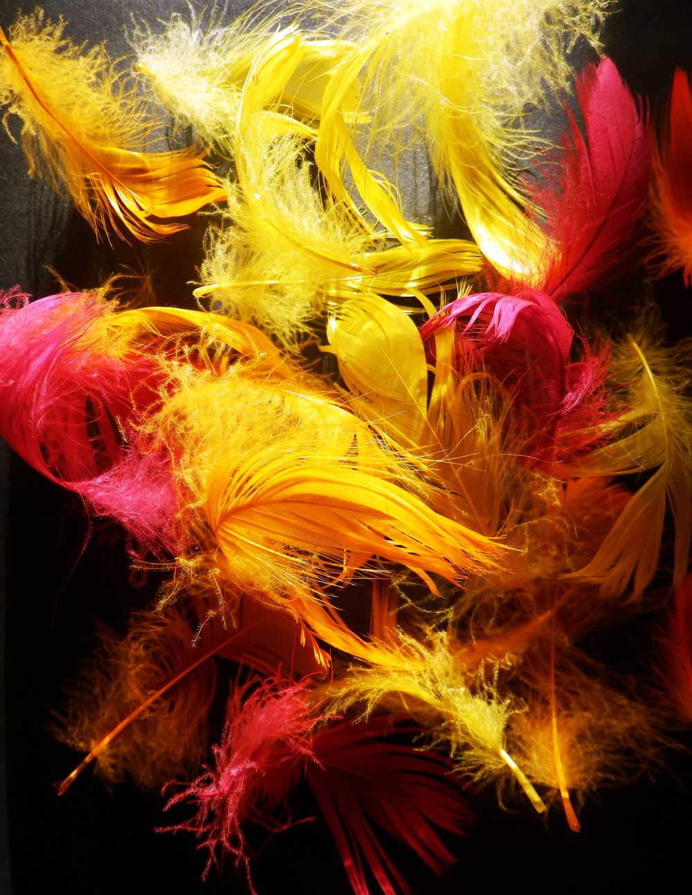 1/4 Lb - 2-3" Red Goose Coquille Loose Wholesale Feathers (Bulk)