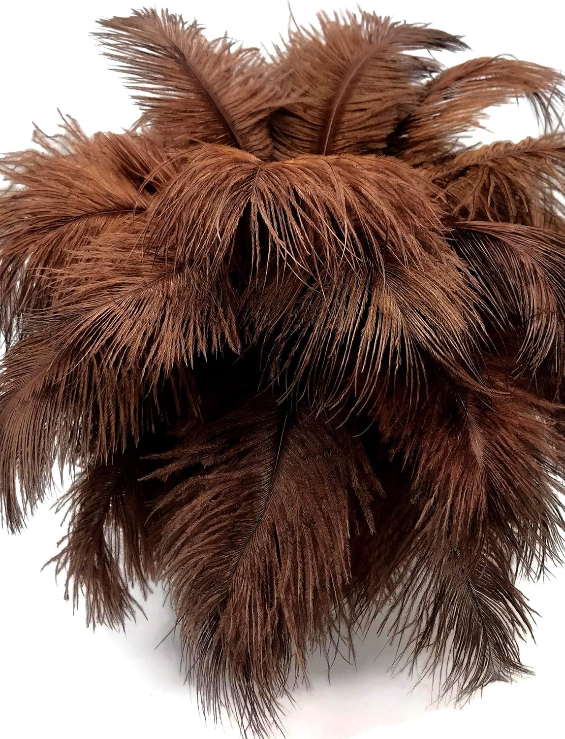 100 Pieces - 6-8" Brown Wholesale Ostrich Drabs Feathers (Bulk)