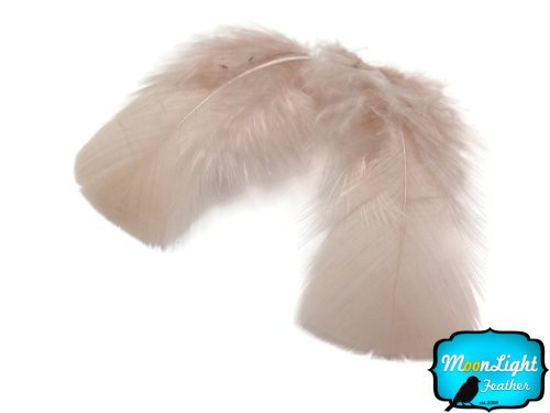 1 Pack - Nude Dyed Turkey T-Base triangle Body Plumage Feathers 0.50 Oz.