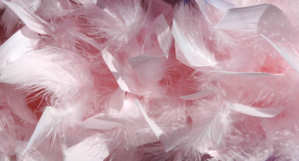 2 Yards - Light Pink Heavy Weight Chandelle Feather Boa | 80 Gram