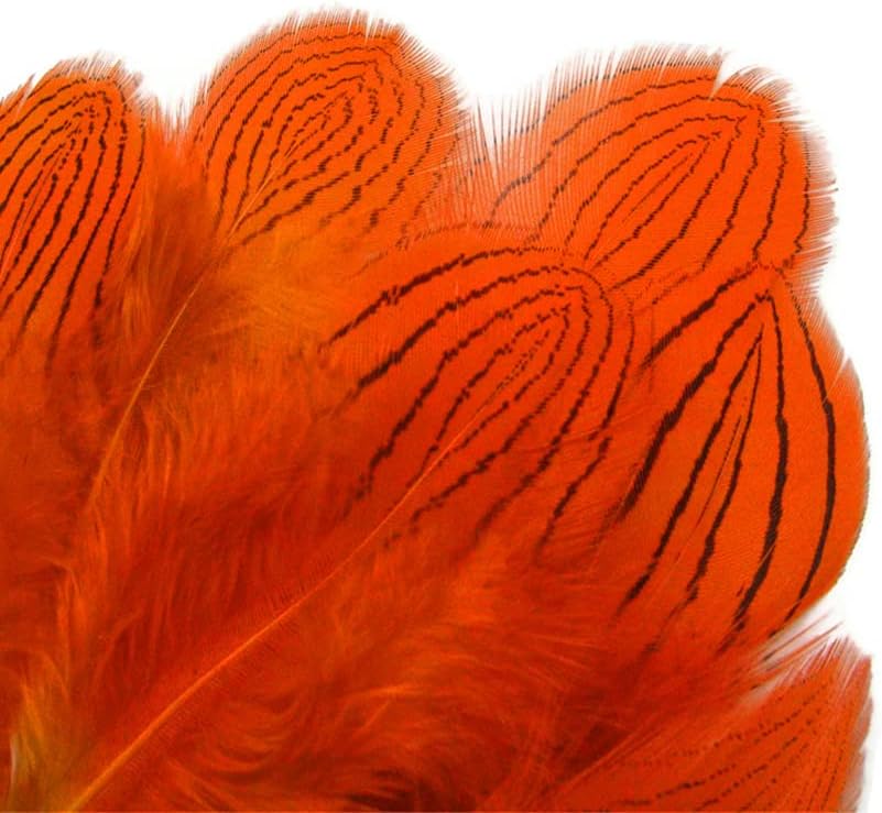 1 Dozen - Orange Silver Pheasant Plumage Feathers