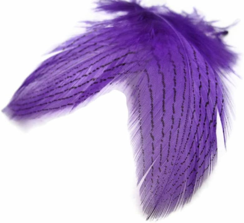 6 Pieces - Large Purple Silver Pheasant Barred Plumage Feathers