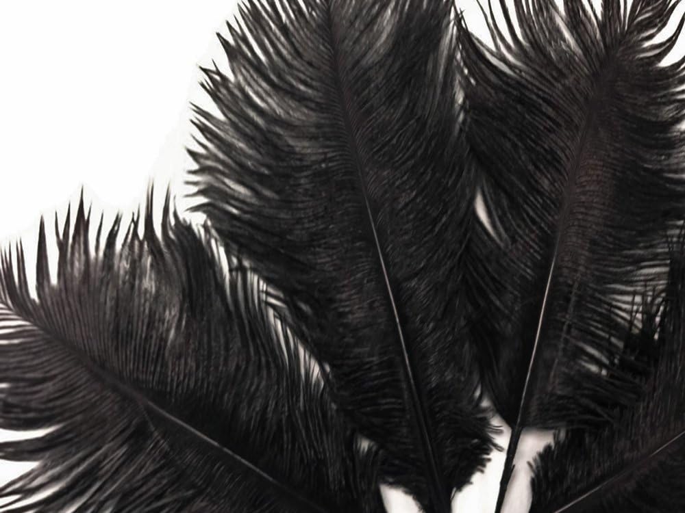 10 Pieces - 14-17" Black Ostrich Dyed Drab Body Feathers