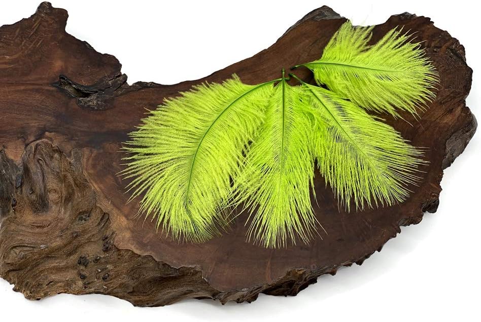 1 Pack - Lime Green Ostrich Small Confetti Feathers 0.3 Oz