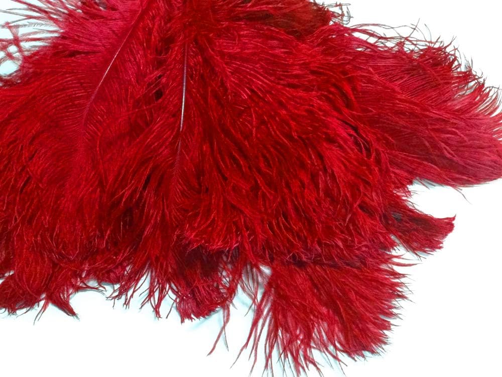 10 Pieces - 12-16" Red Dyed Ostrich Tail Fancy Feathers