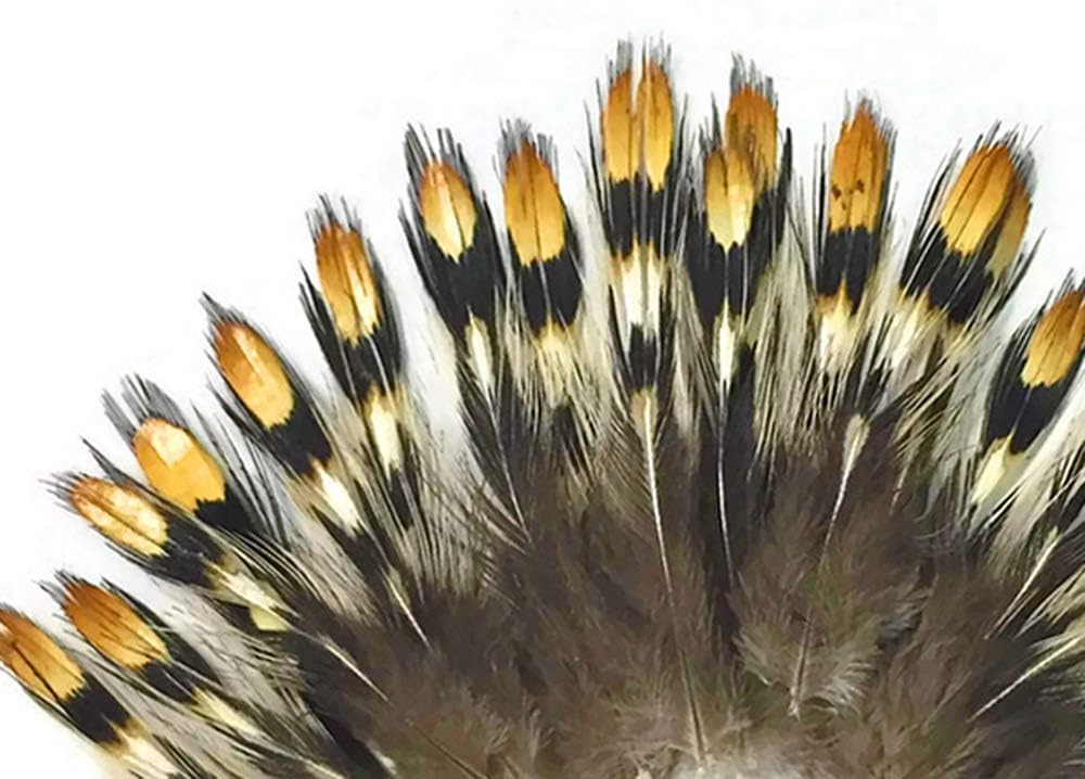 10 Pieces - Mini Natural Gold Jungle Cock Eye Loose Feather