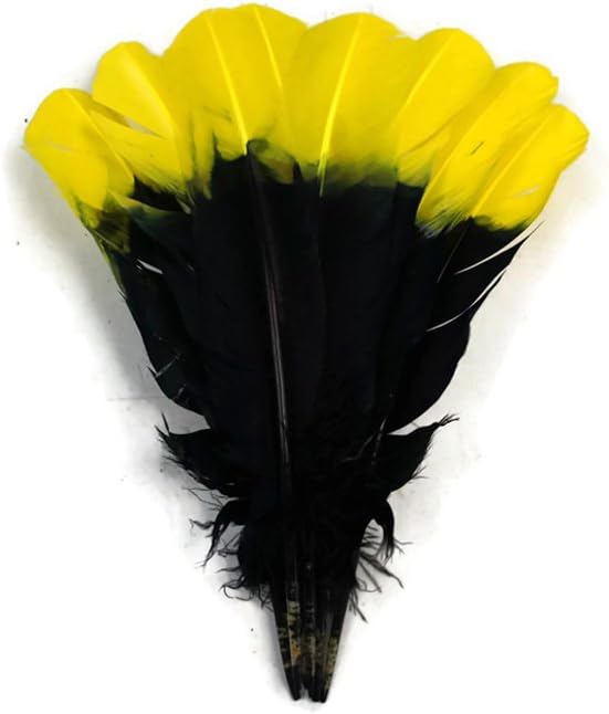 1/4 Lb - Yellow & Black Two Tone Turkey Rounds Tom Wing Secondary Quill Feathers
