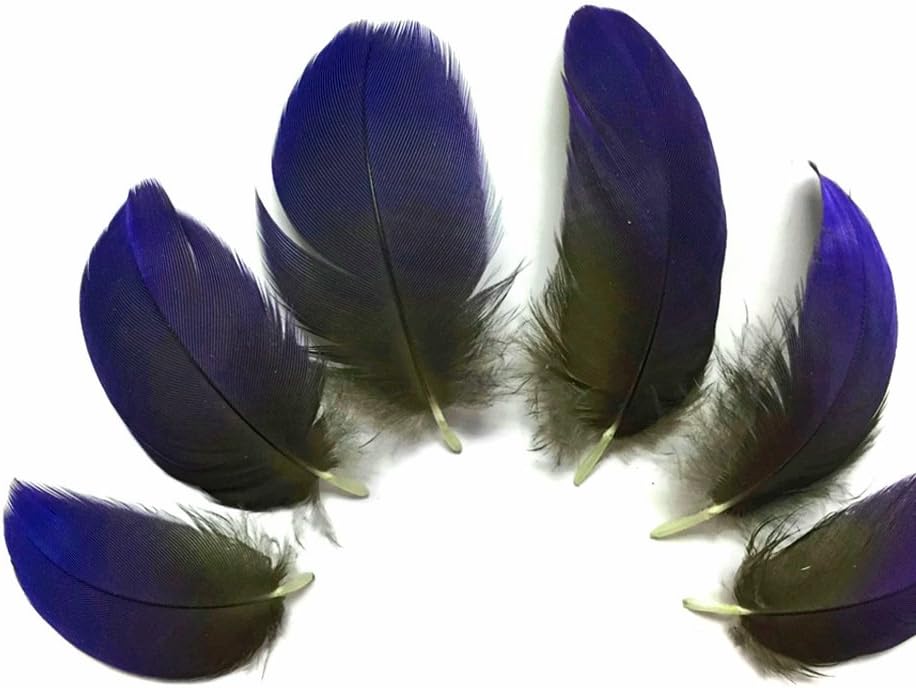 4 Pieces - Iridescent Blue Hyacinth Macaw Wing Feather -Rare-