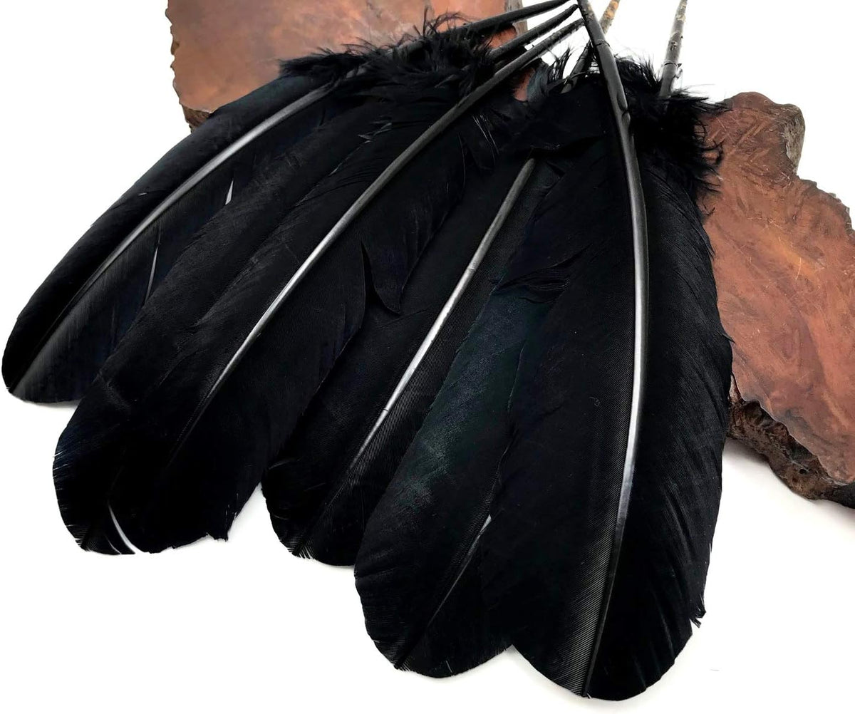 1 Lb. - Black Turkey Tom Rounds Secondary Wing Quill Wholesale Feathers (Bulk)