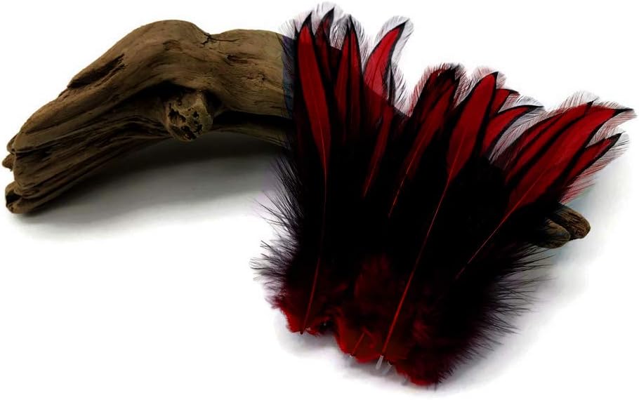 10 Pieces - Claret Dyed BLW Laced Short Rooster Cape Whiting Farms Feathers