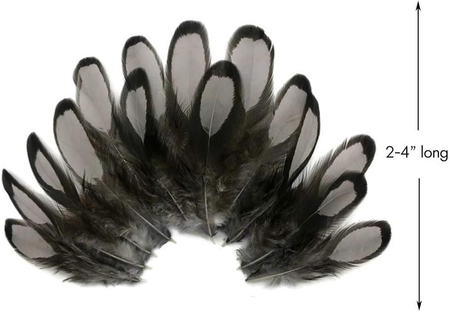 1 Dozen - Heron Gray Whiting Farms Laced Hen Saddle Feathers