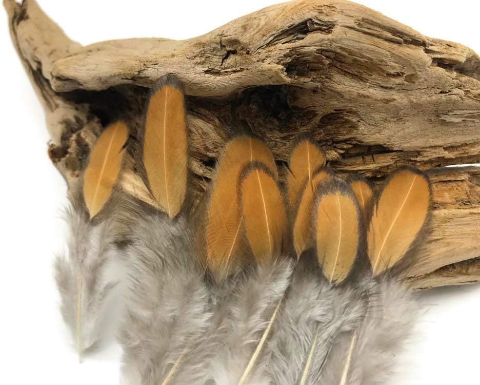 1 Dozen - Golden Brown Whiting Farms Laced Hen Saddle Feathers