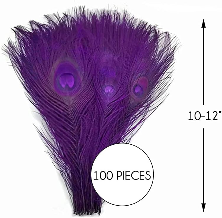 100 Pieces – Purple Bleached & Dyed Peacock Tail Eye Wholesale Feathers (Bulk) 10-12” Long