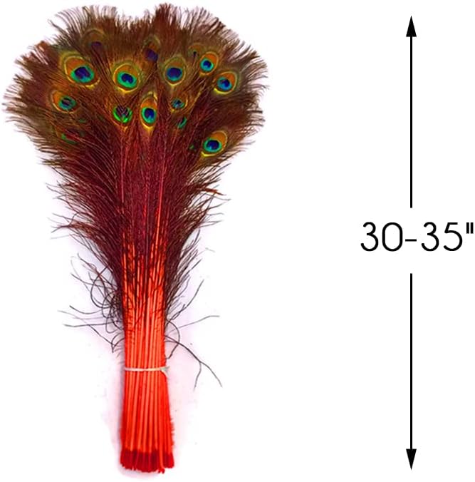 50 Pieces - 30-35" Orange Dyed Over Natural Long Peacock Tail Eye Wholesale Feathers (Bulk)