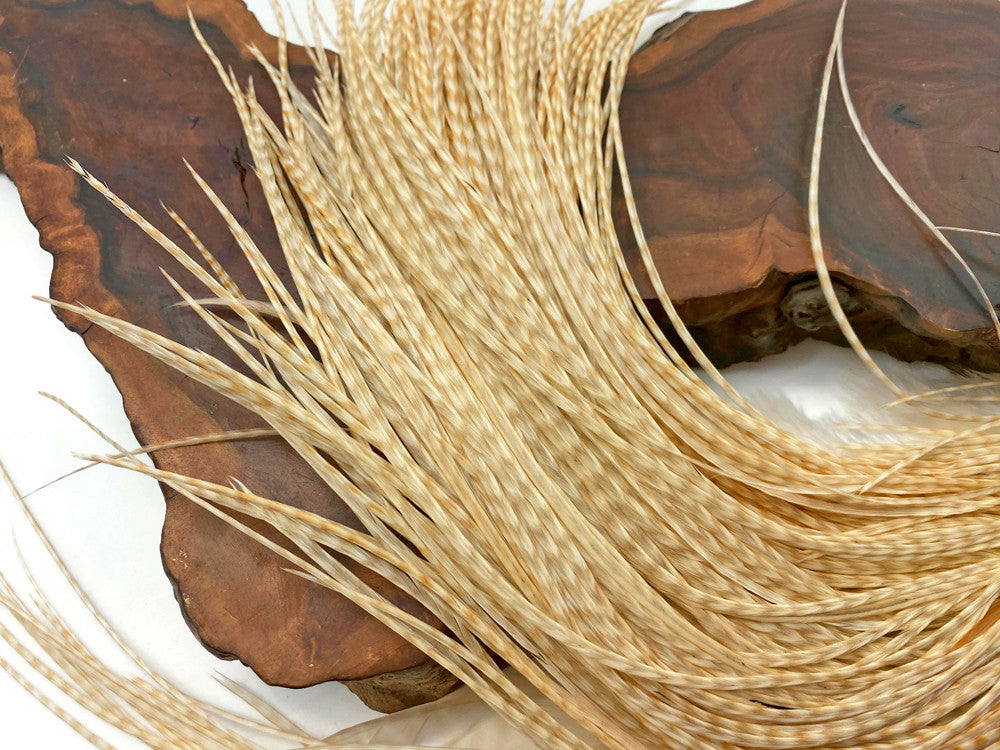 6 Pieces – Extra Long Bleached Grizzly Thin Long Whiting Farm Rooster Saddle Hair Extension Feathers Summer Craft 11.5”