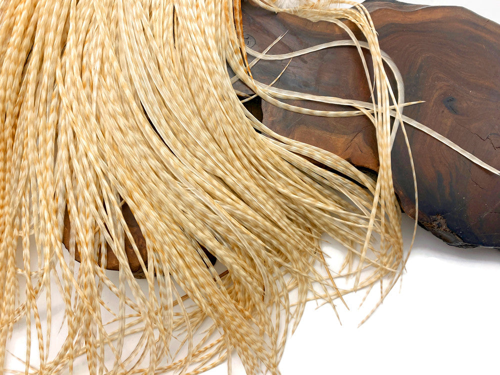 6 Pieces – Extra Long Bleached Grizzly Thin Long Whiting Farm Rooster Saddle Hair Extension Feathers Summer Craft 11.5”