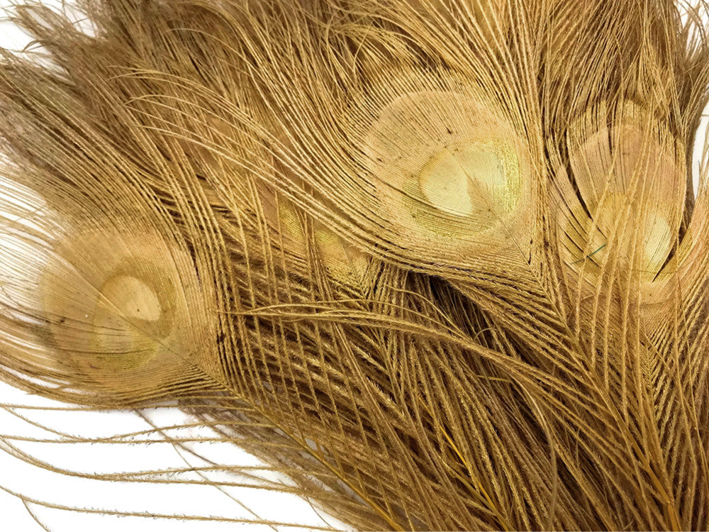 5 Pieces – Dusty Gold Bleached & Dyed Peacock Tail Eye Feathers 10-12” Long
