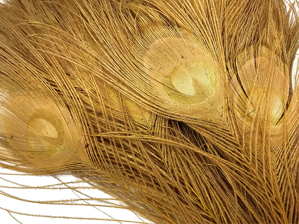 50 Pieces - 30-35" Dusty Gold Bleached & Dyed Peacock Tail Eye Wholesale Feathers (Bulk)