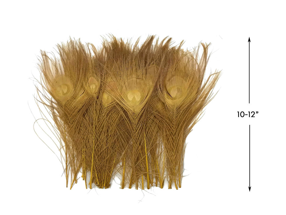 5 Pieces – Dusty Gold Bleached & Dyed Peacock Tail Eye Feathers 10-12” Long