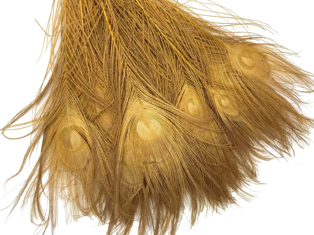 5 Pieces – Dusty Gold Bleached & Dyed Peacock Tail Eye Feathers 10-12” Long