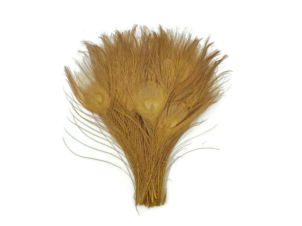 5 Pieces – Dusty Gold Bleached & Dyed Peacock Tail Eye Feathers 10-12” Long