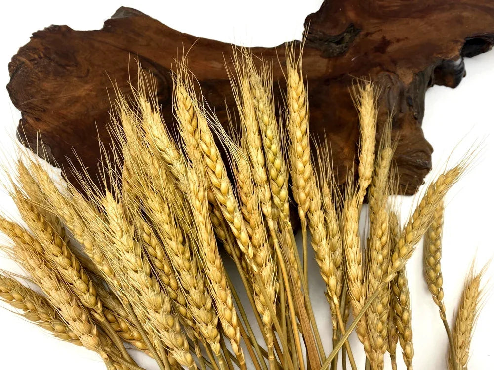 Dried golden wheat stalks arranged in front of a rustic dark wood slab.