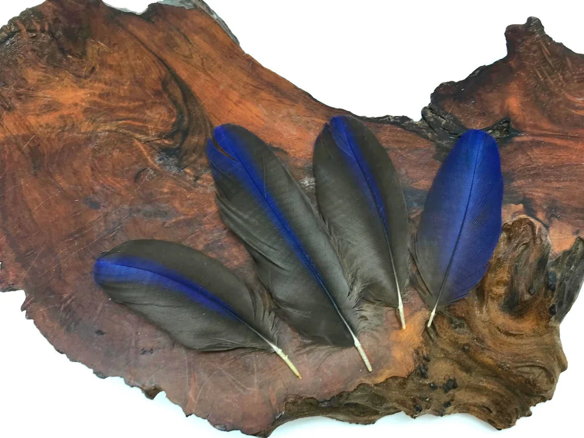 Deep blue and black craft feathers displayed on a natural wood slice background.
