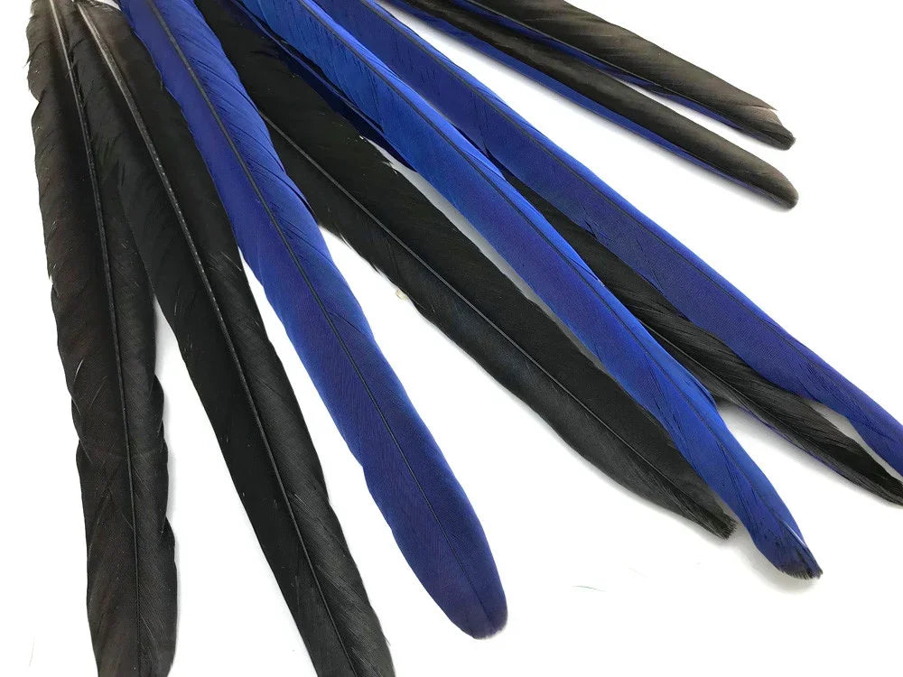 Assorted long black and vibrant blue craft feathers for DIY fashion and decor.