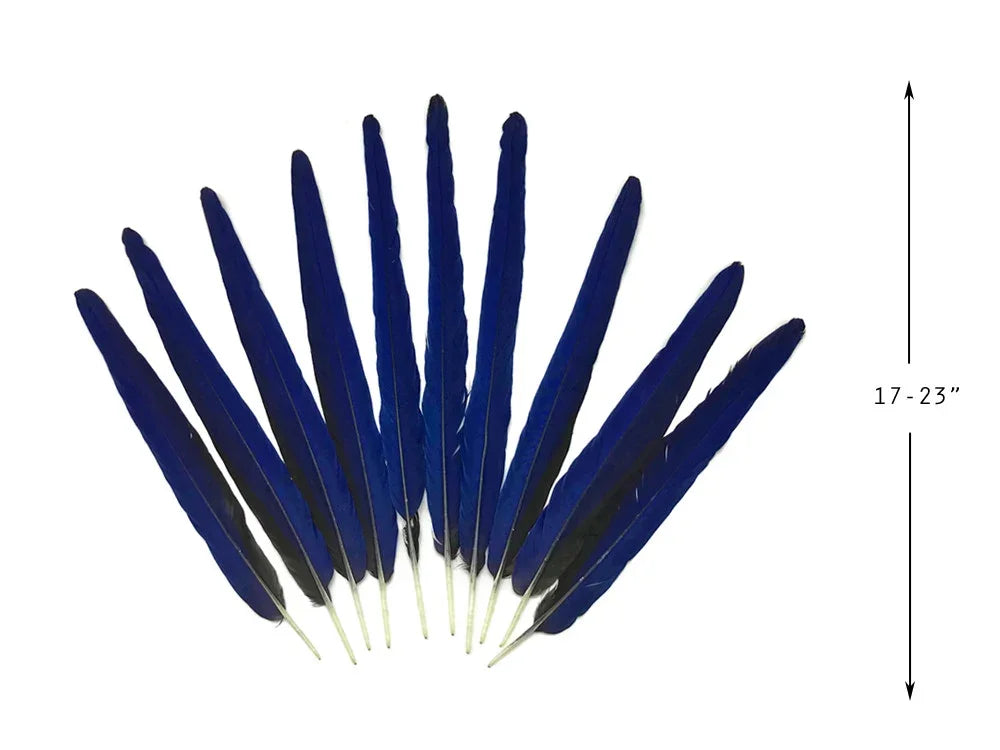 Set of long cobalt blue feathers for crafts and fashion, 17-23 inches in length.