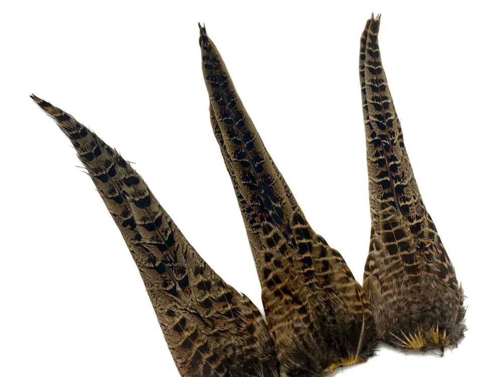 Three patterned brown and black natural feathers for crafts and fashion DIY supplies.