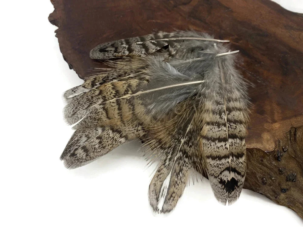 Natural patterned brown and grey bird feathers for DIY crafts and fashion décor.