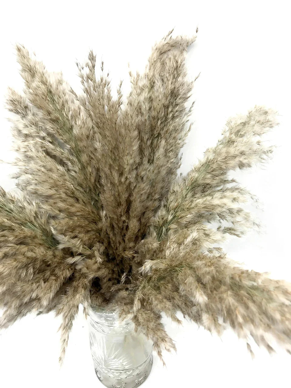 Dried pampas grass plumes in a clear glass vase for boho home decor.