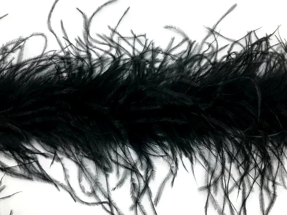 Elegant black ostrich feather trim for fashion and DIY crafts.