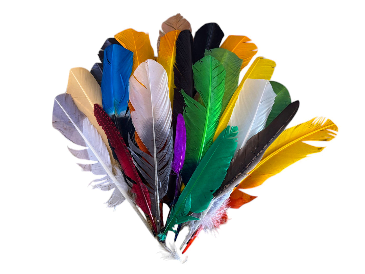 Collection 103 - Mix Random Feather Sample Pack (Bulk)