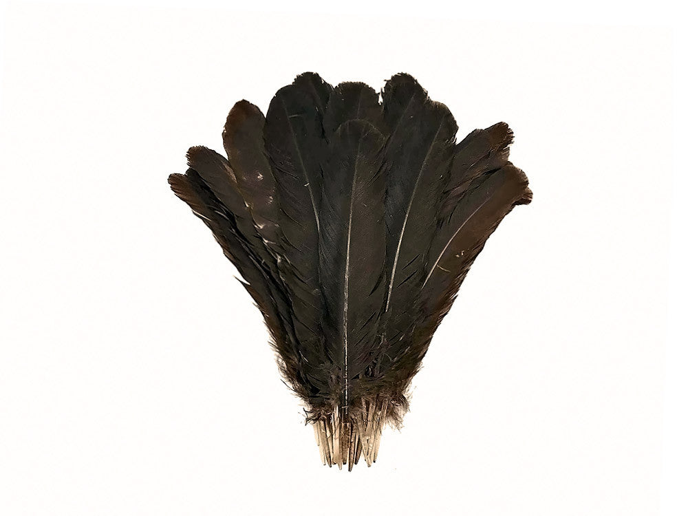 Wholesale Feathers, 1 Lb. - Wine Brown Turkey Rounds Secondary Wing Quill Wholesale Feathers (bulk) fashion Craft Supply : 5060