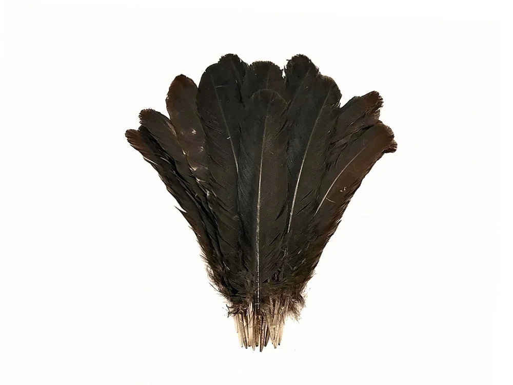 Bundle of long dark brown natural feathers for DIY crafts and fashion decor.