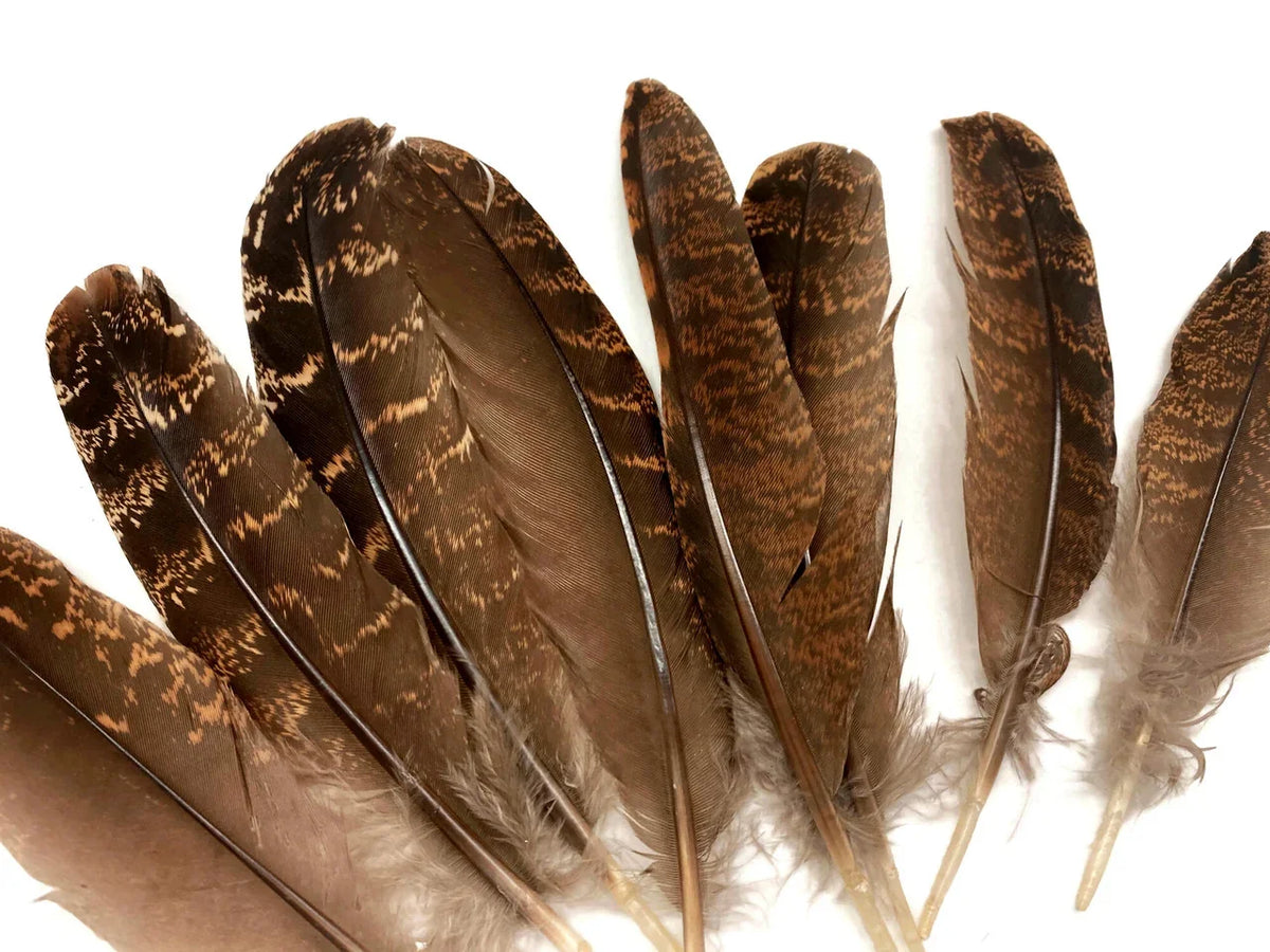 Natural brown patterned feathers for DIY crafts and fashion decor.