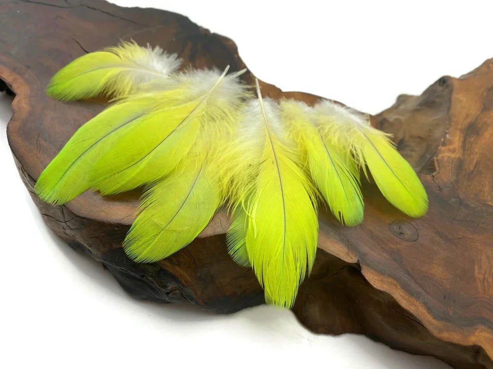 Vibrant neon yellow feathers for DIY crafts and fashion decor on a dark wood base.