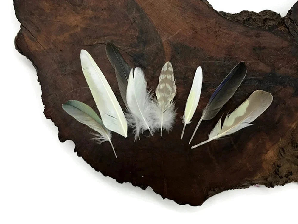 Assorted natural craft feathers in various colors and patterns on a dark wood slice.