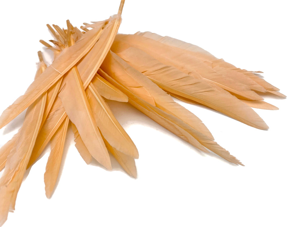1/4 lbs. - Champagne Duck Pointer Primary Wing Wholesale Feathers (Bulk)