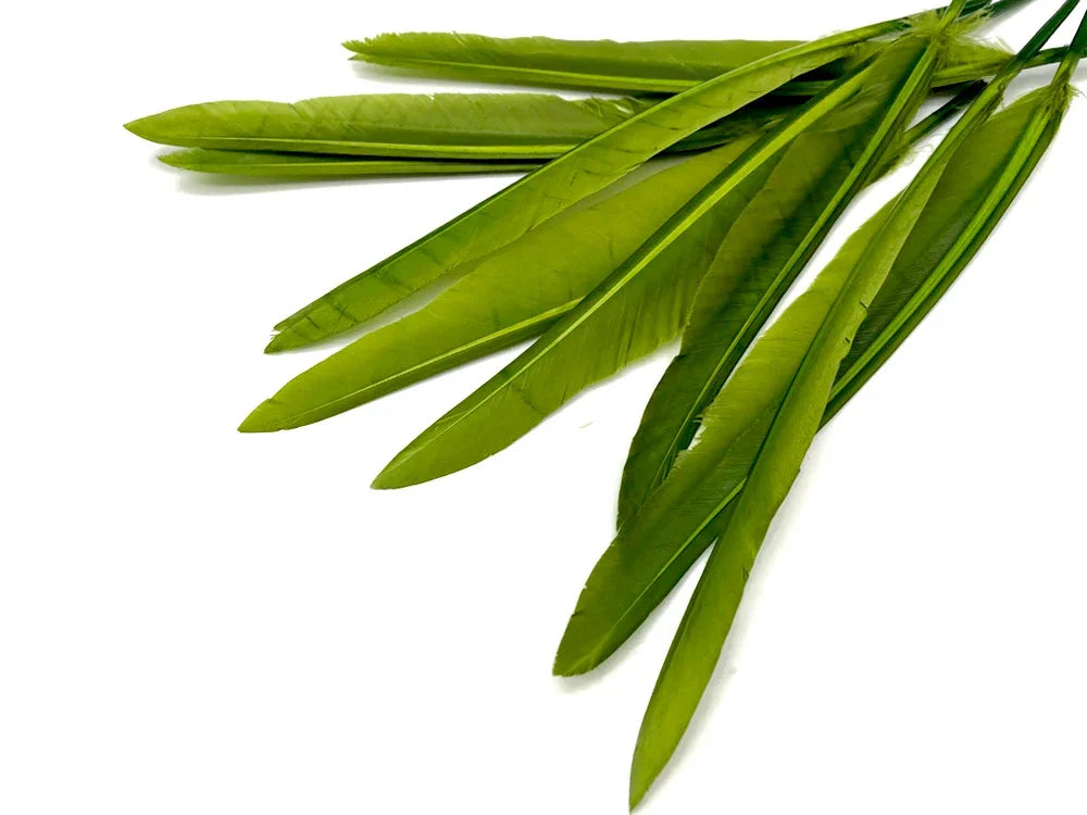 1/4 lbs. - Olive Green Duck Pointer Primary Wing Wholesale Feathers (Bulk)