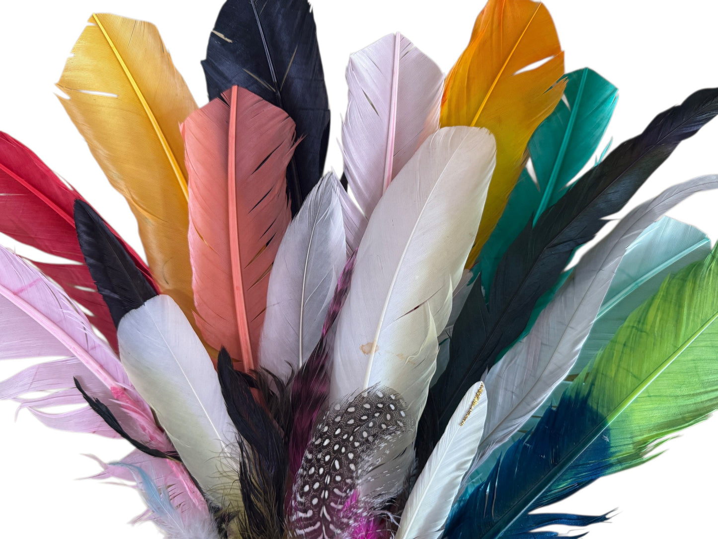 Collection 96 - Mix Random Feather Sample Pack (Bulk)