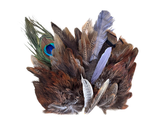 Collection 111 - Mix Random Feather Sample Pack (Bulk)