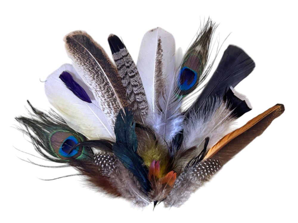 Collection 113 - Mix Random Feather Sample Pack (Bulk)