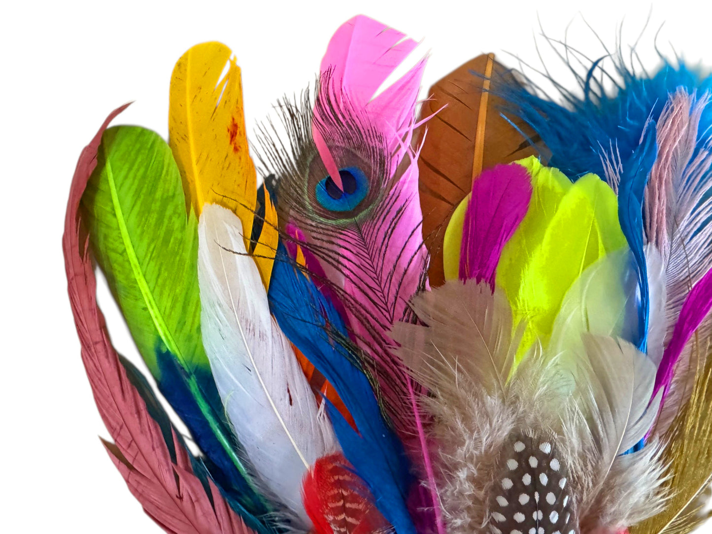 Collection 116 - Mix Random Feather Sample Pack (Bulk)