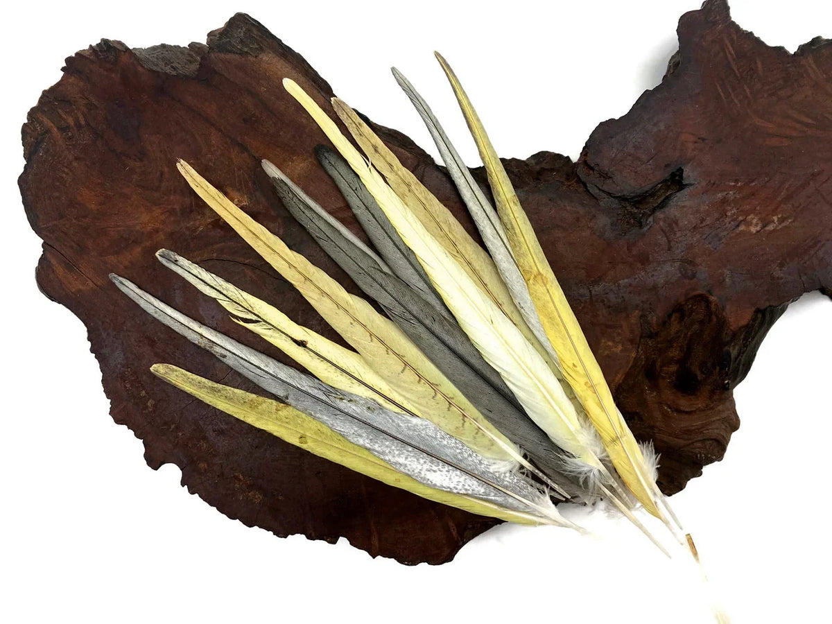 Assorted natural craft feathers in cream, grey, and yellow tones on a dark wood base.