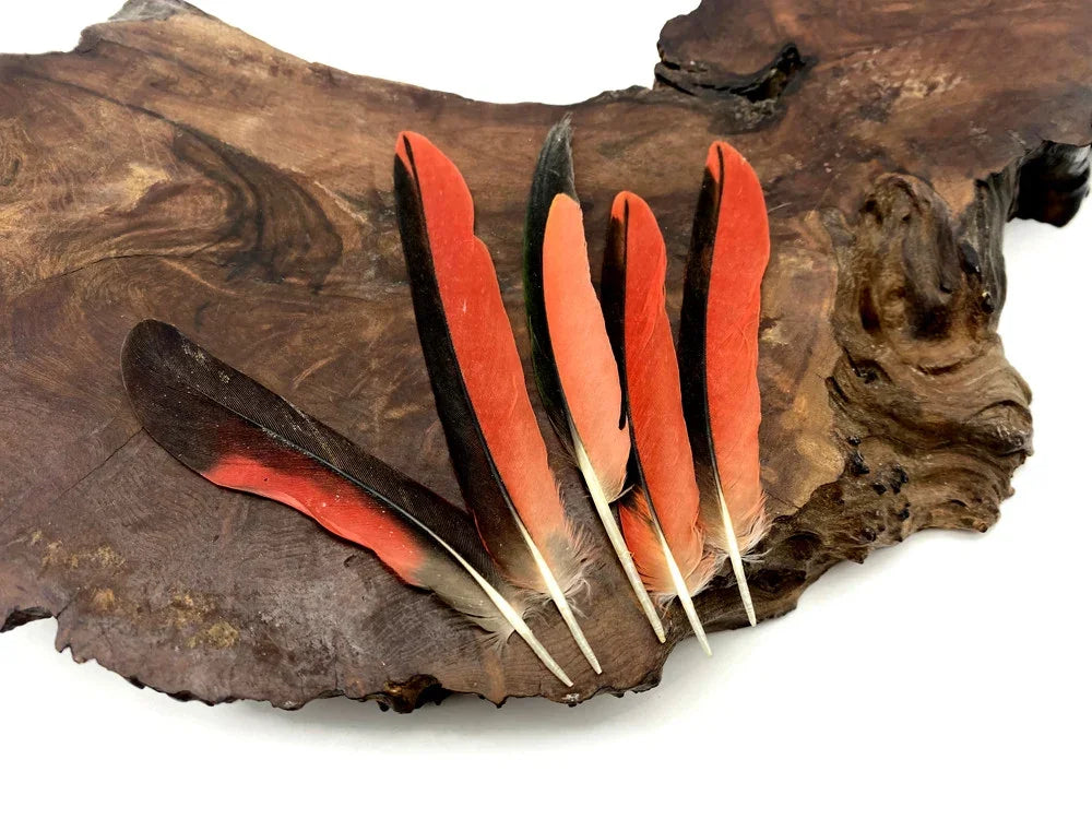 Vibrant red and black craft feathers displayed on a natural dark wood slice.