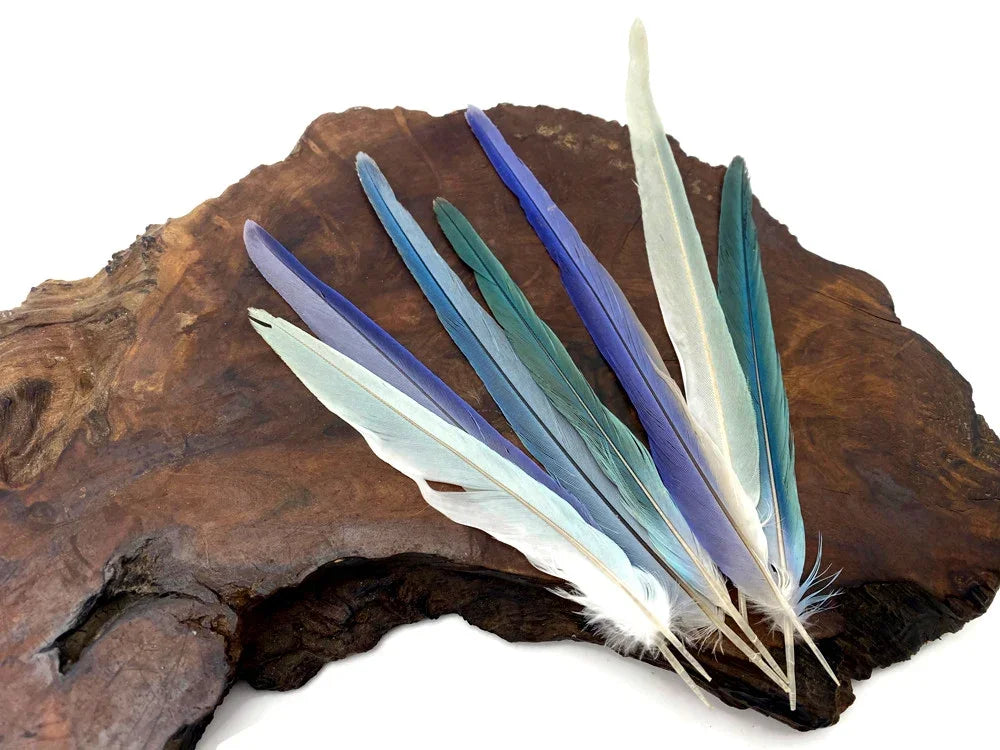 Assorted blue, teal, and white craft feathers on a rustic dark wood base.