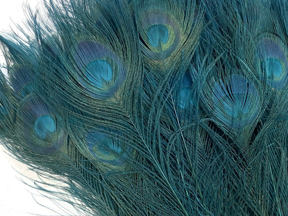 50 Pieces - 30-35" Teal Green Bleached & Dyed Peacock Tail Eye Wholesale Feathers (Bulk)